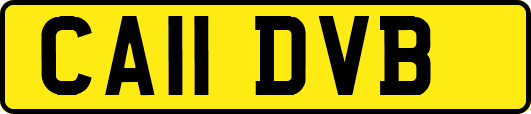 CA11DVB