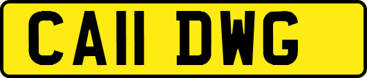 CA11DWG