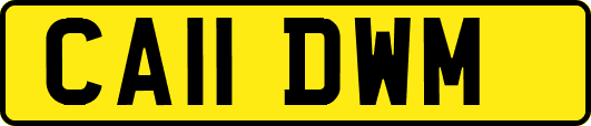 CA11DWM