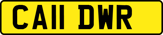 CA11DWR