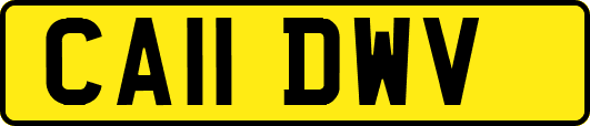 CA11DWV