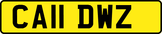 CA11DWZ