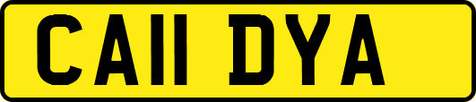 CA11DYA