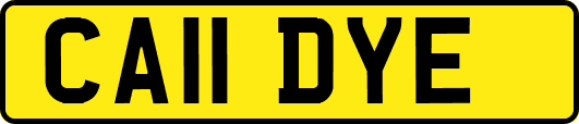 CA11DYE