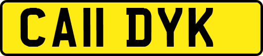 CA11DYK