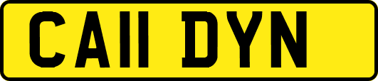 CA11DYN