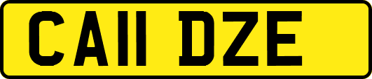 CA11DZE
