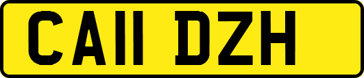 CA11DZH
