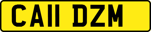 CA11DZM