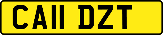 CA11DZT