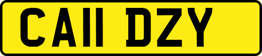 CA11DZY