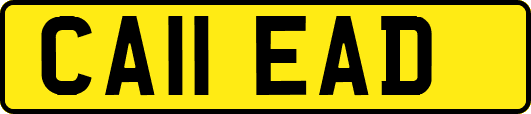 CA11EAD
