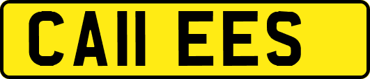 CA11EES