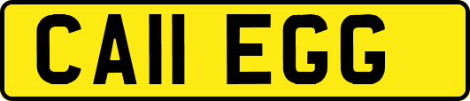 CA11EGG