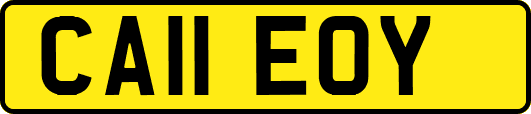 CA11EOY