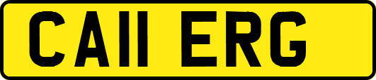 CA11ERG