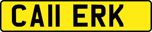 CA11ERK