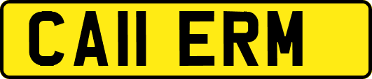 CA11ERM