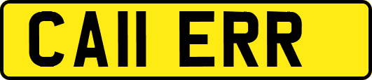 CA11ERR