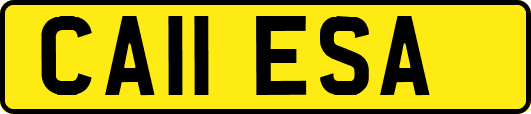 CA11ESA