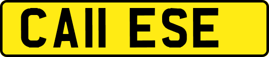 CA11ESE