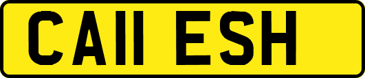 CA11ESH
