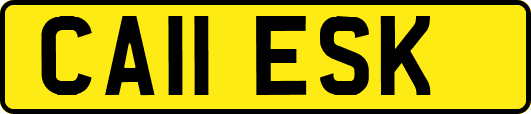 CA11ESK