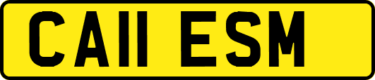 CA11ESM