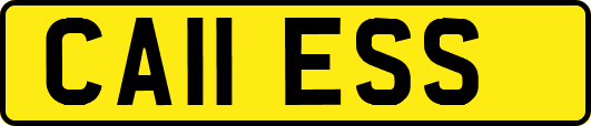 CA11ESS