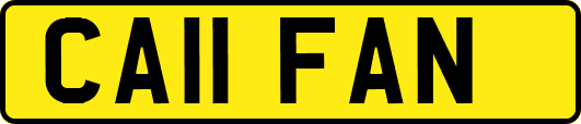 CA11FAN