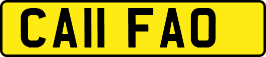 CA11FAO