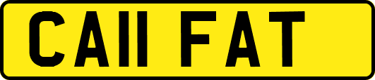 CA11FAT