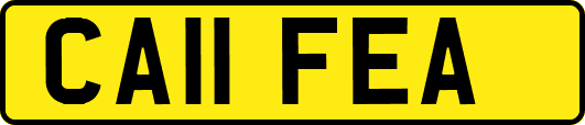 CA11FEA