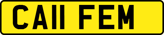 CA11FEM