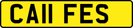 CA11FES