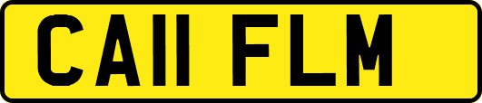CA11FLM