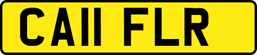 CA11FLR