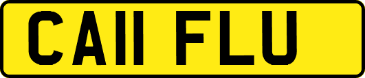 CA11FLU