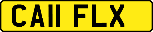 CA11FLX