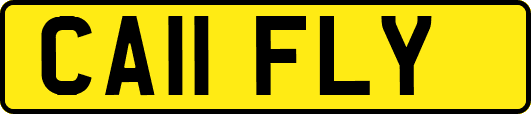 CA11FLY