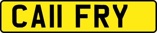 CA11FRY