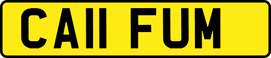 CA11FUM