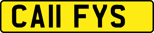 CA11FYS