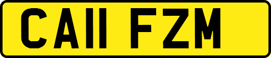 CA11FZM