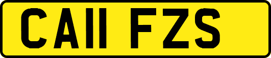 CA11FZS