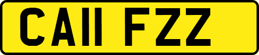 CA11FZZ