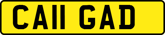 CA11GAD