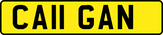 CA11GAN