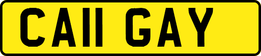 CA11GAY