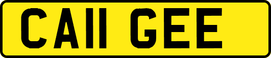 CA11GEE